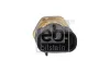 Sensor, Kühlmitteltemperatur FEBI BILSTEIN 181008 Bild Sensor, Kühlmitteltemperatur FEBI BILSTEIN 181008