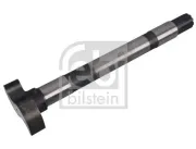 Keilrippenriemensatz FEBI BILSTEIN 183484