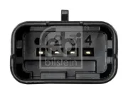 Lagerung, Motor vorne rechts FEBI BILSTEIN 183695