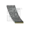 Keilrippenriemen FEBI BILSTEIN 182095
