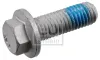 Schraube, Bremssattel Vorderachse FEBI BILSTEIN 182564