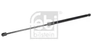 Gasfeder, Koffer-/Laderaum beidseitig FEBI BILSTEIN 183064