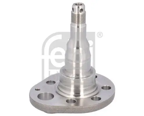 Achszapfen, Achskörper Hinterachse links FEBI BILSTEIN 18346