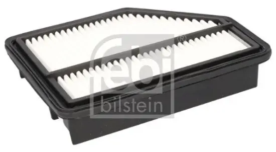 Luftfilter FEBI BILSTEIN 183843 Bild Luftfilter FEBI BILSTEIN 183843