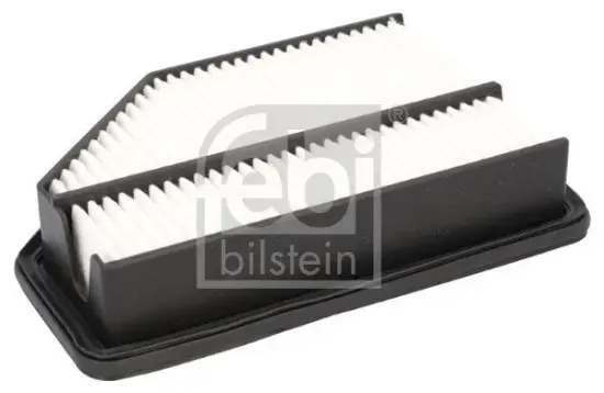 Luftfilter FEBI BILSTEIN 183843 Bild Luftfilter FEBI BILSTEIN 183843