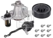 Wasserpumpe, Motorkühlung FEBI BILSTEIN 184561