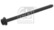 Zylinderkopfschraube FEBI BILSTEIN 184667