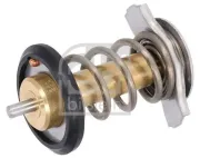 Thermostat, Kühlmittel FEBI BILSTEIN 185598