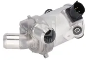 Wasserpumpe, Motorkühlung FEBI BILSTEIN 185900