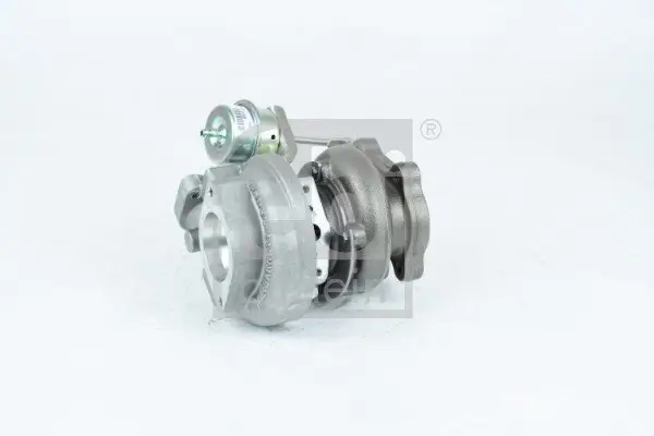 Dichtung, Zylinderkopf FEBI BILSTEIN 19116