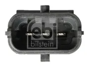 Lagerung, Differential Hinterachse hinten FEBI BILSTEIN 21765