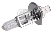 Glühlampe, Nebelscheinwerfer 12 V 55 W H1 FEBI BILSTEIN 193787