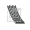 Keilrippenriemen motorseitig FEBI BILSTEIN 193849