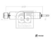 Stoßdämpfer Hinterachse links Hinterachse rechts FEBI BILSTEIN 194268