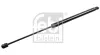 Gasfeder, Koffer-/Laderaum beidseitig FEBI BILSTEIN 194419 Bild Gasfeder, Koffer-/Laderaum beidseitig FEBI BILSTEIN 194419