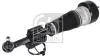 Luftfederbein Vorderachse links FEBI BILSTEIN 194579 Bild Luftfederbein Vorderachse links FEBI BILSTEIN 194579