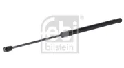 Gasfeder, Koffer-/Laderaum beidseitig FEBI BILSTEIN 198010