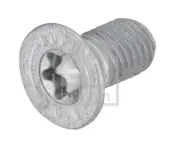 Schraube, Bremsscheibe FEBI BILSTEIN 198198
