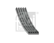 Keilrippenriemen FEBI BILSTEIN 198236