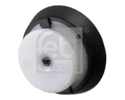 Riemenscheibe, Servopumpe FEBI BILSTEIN 29501