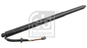 Halter, Abgasanlage vorne FEBI BILSTEIN 29584