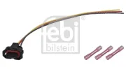 Lagerung, Stabilisator Hinterachse FEBI BILSTEIN 31066
