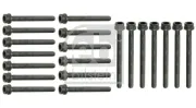 Zylinderkopfschraubensatz FEBI BILSTEIN 22036