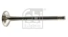 Auslassventil FEBI BILSTEIN 22061