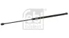 Gasfeder, Koffer-/Laderaum beidseitig FEBI BILSTEIN 22621