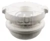 Anschlagpuffer, Federung Vorderachse FEBI BILSTEIN 22641