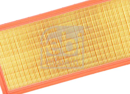 Luftfilter FEBI BILSTEIN 24396 Bild Luftfilter FEBI BILSTEIN 24396