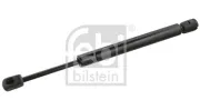 Gasfeder, Koffer-/Laderaum beidseitig FEBI BILSTEIN 25085