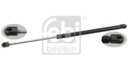 Gasfeder, Koffer-/Laderaum beidseitig FEBI BILSTEIN 25132