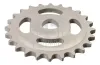 Zahnrad, &Ouml;lpumpe FEBI BILSTEIN 25241