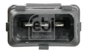 Gasfeder, Koffer-/Laderaum beidseitig FEBI BILSTEIN 37483