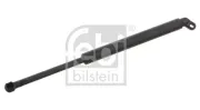 Gasfeder, Koffer-/Laderaum FEBI BILSTEIN 27596