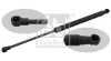 Gasfeder, Motorhaube beidseitig FEBI BILSTEIN 27599