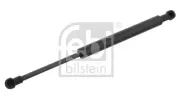 Gasfeder, Koffer-/Laderaum beidseitig FEBI BILSTEIN 27600