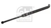 Gasfeder, Koffer-/Laderaum beidseitig FEBI BILSTEIN 27602