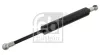 Gasfeder, Koffer-/Laderaum beidseitig FEBI BILSTEIN 27633