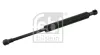Gasfeder, Koffer-/Laderaum beidseitig FEBI BILSTEIN 27746