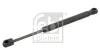Gasfeder, Koffer-/Laderaum beidseitig FEBI BILSTEIN 27770