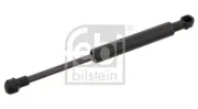 Gasfeder, Koffer-/Laderaum beidseitig FEBI BILSTEIN 27884