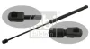 Gasfeder, Koffer-/Laderaum beidseitig FEBI BILSTEIN 27896