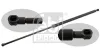 Gasfeder, Koffer-/Laderaum beidseitig FEBI BILSTEIN 27903