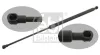 Gasfeder, Koffer-/Laderaum beidseitig FEBI BILSTEIN 27911