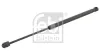 Gasfeder, Koffer-/Laderaum beidseitig FEBI BILSTEIN 27914