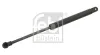 Gasfeder, Koffer-/Laderaum beidseitig FEBI BILSTEIN 27915