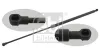 Gasfeder, Koffer-/Laderaum beidseitig FEBI BILSTEIN 28008