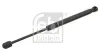 Gasfeder, Koffer-/Laderaum beidseitig FEBI BILSTEIN 28015